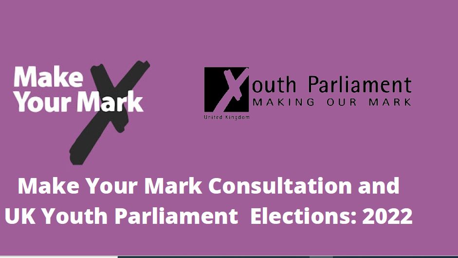 Youth parliament make your mark poster
