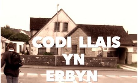 Codi Llais Yn Erbyn Trais